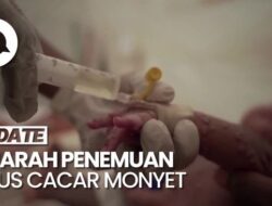 Sejarah Penemuan Mpox hingga Karena Itu Darurat Kesejaganan Komunitas