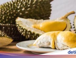 Tips Menghilangkan Bau Durian yang Menempel Hingga Ruangan dan Kulkas