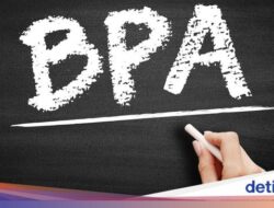 Kata Kajian soal Dampak BPA Di Kesejaganan Mental