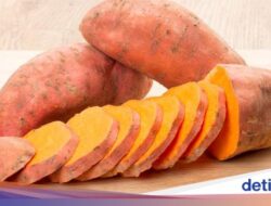 6 Manfaat Ubi Jalar, Bagus Buat Pola Makan hingga Daya Ingat