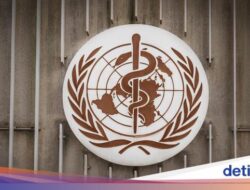 Tak Perlu Panik, WHO Tegaskan Wabah Mpox Tak Seperti Wabah Dunia COVID-19