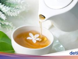 Minum Teh Jasmine Setiap Hari, Dapatkan 4 Manfaat Menyehatkan Tubuh