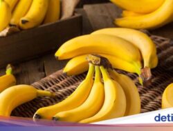 5 Hidangan Ini Sebaiknya Tak Dimakan Bersamaan Didalam Pisang