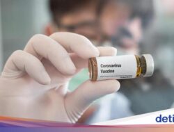 Peneliti Temukan Gangguan Menyebar COVID-19 Bikin Otak Menua 20 Tahun, Apa yang Terjadi?