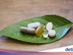 Fakta-fakta BPOM Temukan 10 Terapi Berbahan Herbal Bisa Rusak Ginjal-Jantung