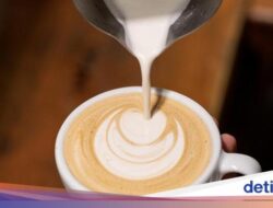 Minuman Kafein Tidak Menyebabkan Jantung Berdebar, Ini Kata Peneliti