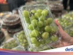 Beda Bersama Thailand, RI Tak Temukan Kandugan Berbahaya Ke Anggur Muscat Perdagangan Masuk Negeri