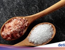 Garam Himalaya Vs Garam Tatakan, Ini Ciri-ciri dan Manfaatnya