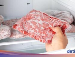 4 Cara Mengecek Standar Konsumsi Beku Ke Freezer dan Waktu Penyimpanannya