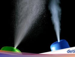 Boleh Saja Pakai Pengharum Ruangan Semprot Di Kamar, Asal Catat Pesan Ahli Kepuasan