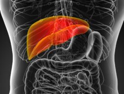 7 Minuman Sehari-hari Bagus Sebagai Keadaan Liver, Termasuk Minuman