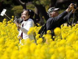 Kenapa Banyak Orang Jepang Berusia Ke Atas 100 Tahun? Ini Kata Gubernur Prefektur Mie