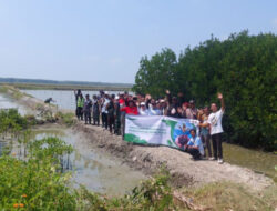 Tangkal Abrasi, PHE OSES Tanam 20.000 Mangrove Hingga Lampung Timur